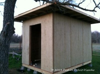 Building a Coop, Part 2 Image